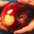 Karen Andrus's profile image