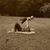 Mady Solland's profile image