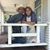 Lisa Buhring-McBeth's profile image