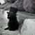 Leah Kenworthy's profile image