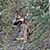 Nancy Dement's profile image