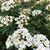 Marian Goodin's profile image