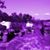 Rans-Toey Casebolt's profile image