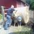 Terry Edens's profile image