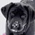 Maureen Wade's profile image