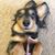 Sandy Trexler's profile image