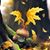 Delilah Wolfen's profile image