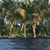 Eva Contos's profile image