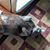 Suanne Colegrove's profile image