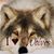 Chris Mangum's profile image