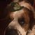 Joanie Hunter Eccleston's profile image