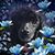 Sue Caves-Torres's profile image