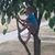 Gary Keyte's profile image