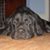 Kenny D Phillips's profile image
