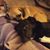 Judith Ayton's profile image