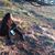 Paola B. Turner's profile image