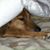 Richard Parker's profile image