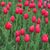 Lynette Doyle's profile image