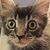 Tamara Nunnally's profile image