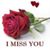 Dave Rukke's profile image