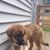 Shelley Allen's profile image