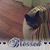 Tonda Daniels's profile image