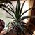 Donna Taverne-Murray's profile image