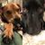 Elizabeth Gesslein-Corsale's profile image