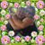 Amy 'Langley' VonQuintus's profile image