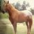 Jerry Pinkard's profile image