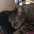 Sheila Weber Patton's profile image
