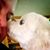 Christy Stipelcovich's profile image