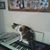 Kimberly Mele's profile image