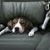 Donna Utegg's profile image