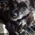 Shelley Arndt's profile image