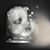 Dillon Clark's profile image