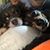 Lynn Kelly Bickel's profile image