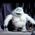Gina Tempesta's profile image