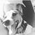 Sabrina Paxton Thompson's profile image