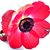 Sina Beau-bina's profile image