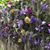 Debbie Stempen Arbuckle's profile image