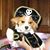 Jackie Wilson's profile image