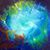 Stephanie Burke Scuderi's profile image