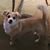 Jackie Mohring's profile image