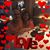 Carrie Quevedo Arnold's profile image