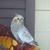 John Maund's profile image
