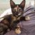 Cyndy Usanis's profile image