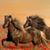 Annette Penley's profile image