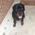 Cheryl Parker Anderson's profile image