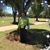 Mary Crump's profile image